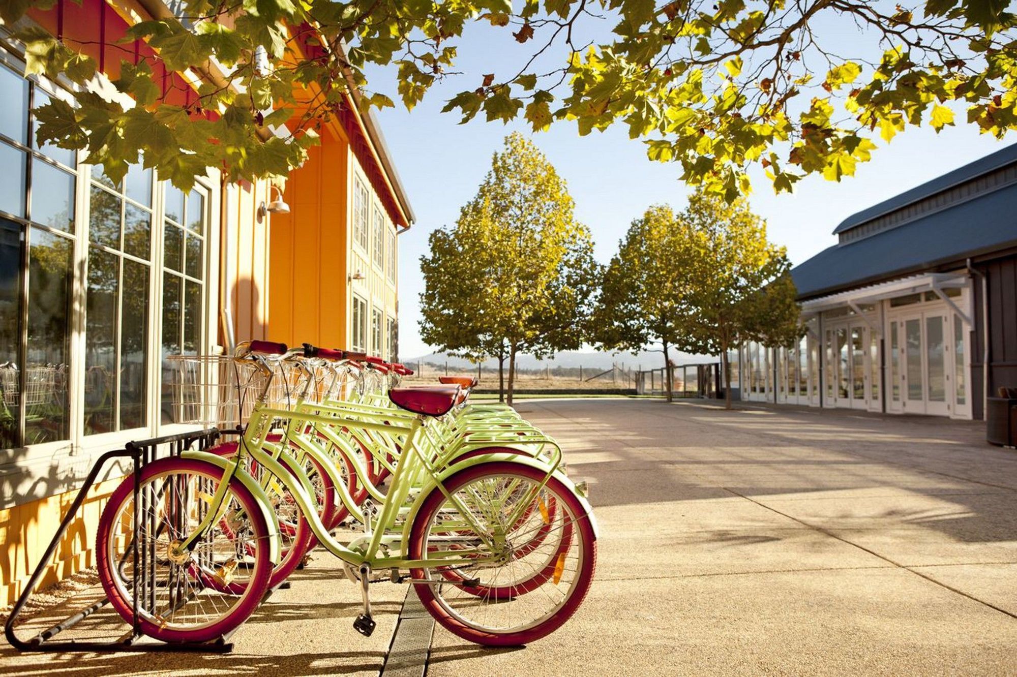 נאפה Carneros Resort And Spa מראה חיצוני תמונה