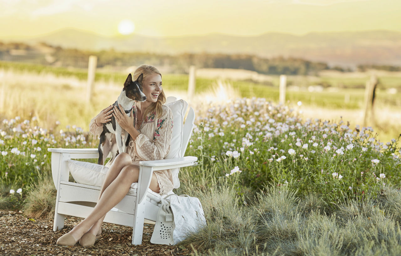 נאפה Carneros Resort And Spa מראה חיצוני תמונה